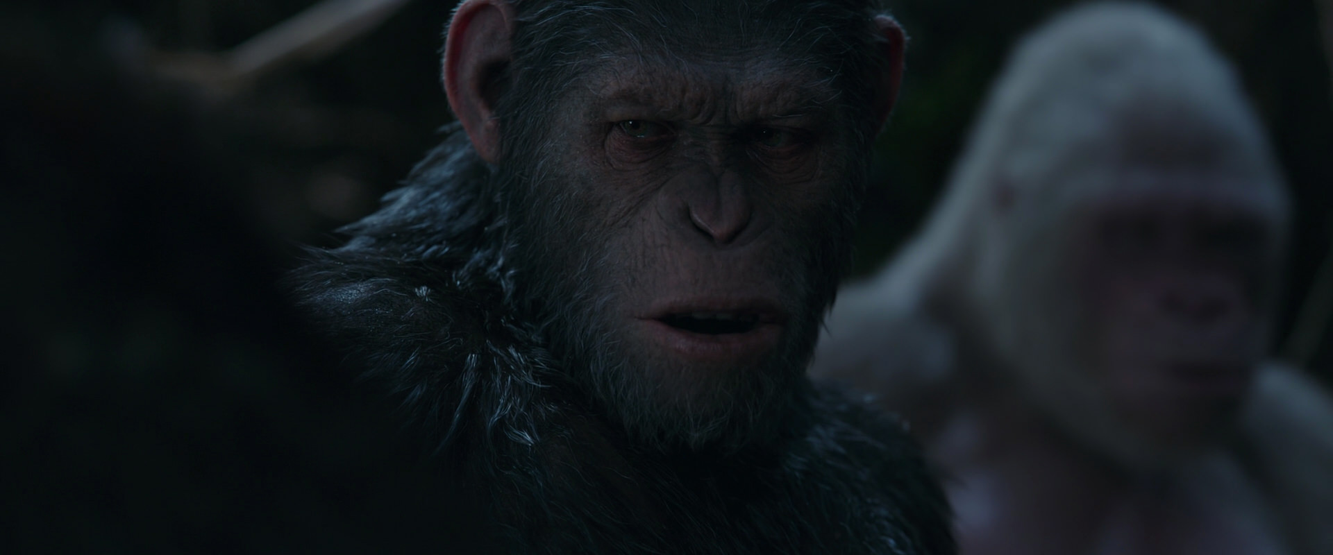 War for the Planet of the Apes (2017) movie still 1048