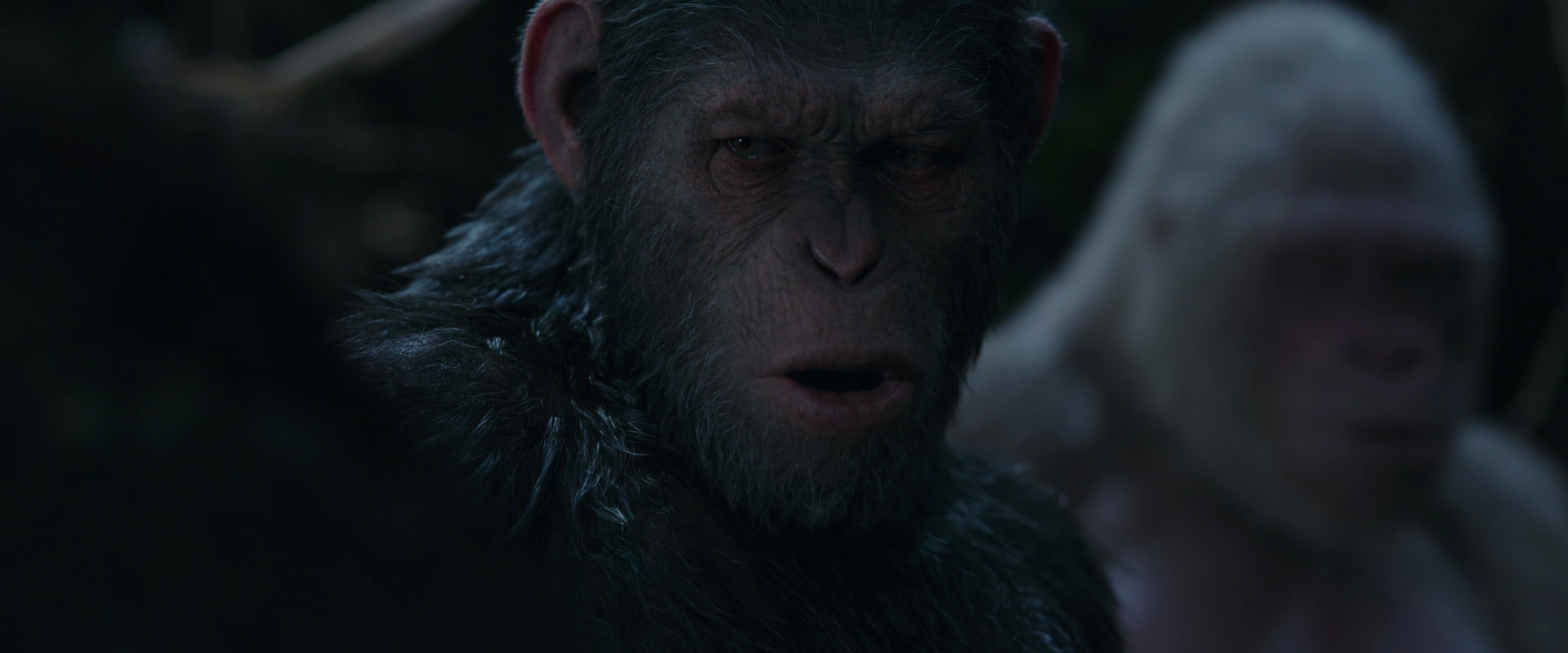 War for the Planet of the Apes (2017) HD screenshot 1049