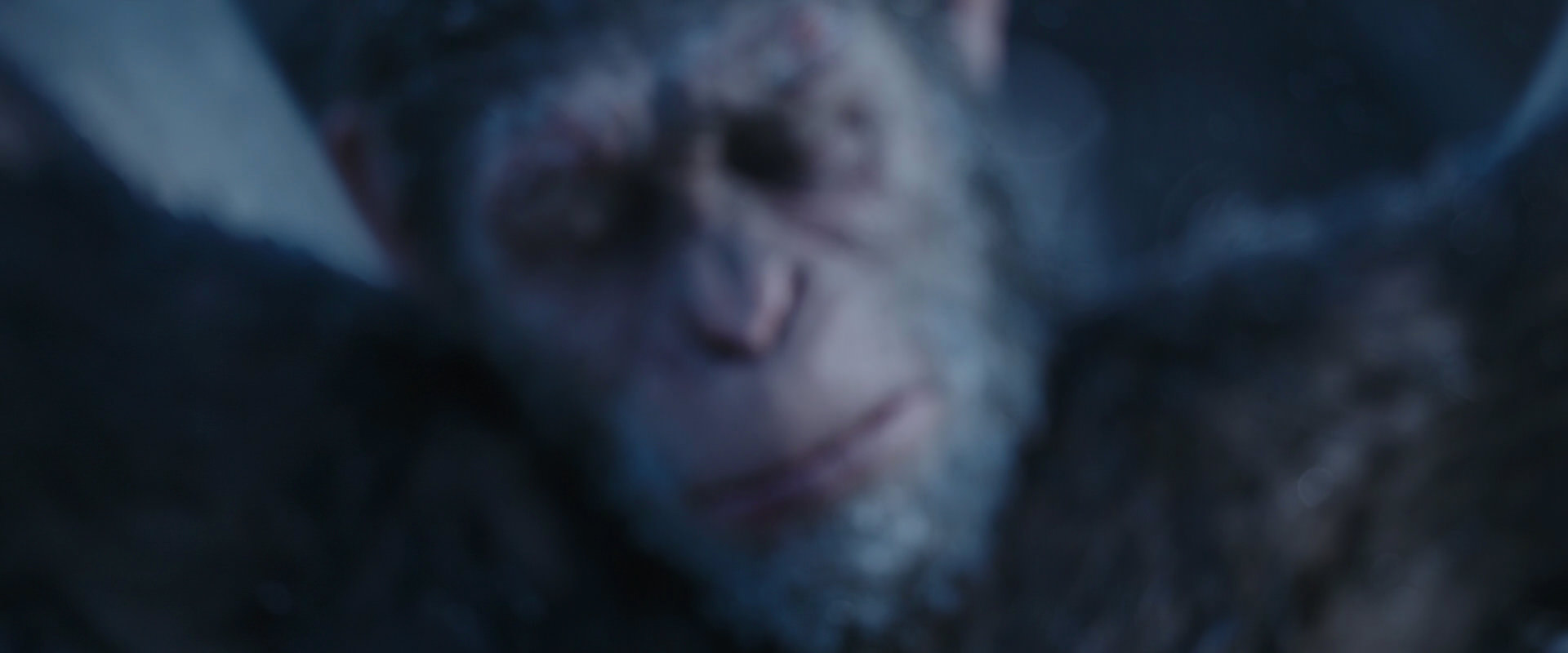 War for the Planet of the Apes (2017) HD screenshot 10490