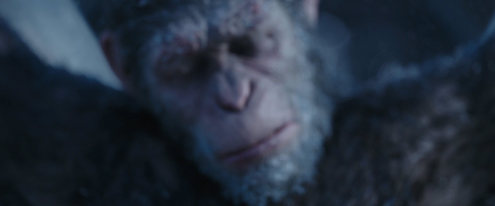 War for the Planet of the Apes (2017) screencap 10491