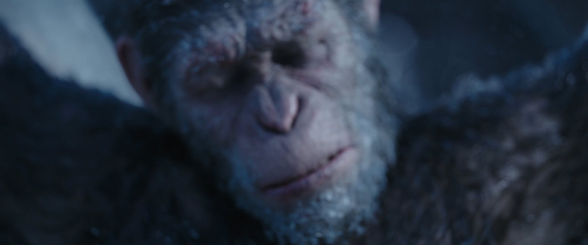 War for the Planet of the Apes (2017) movie still 10492