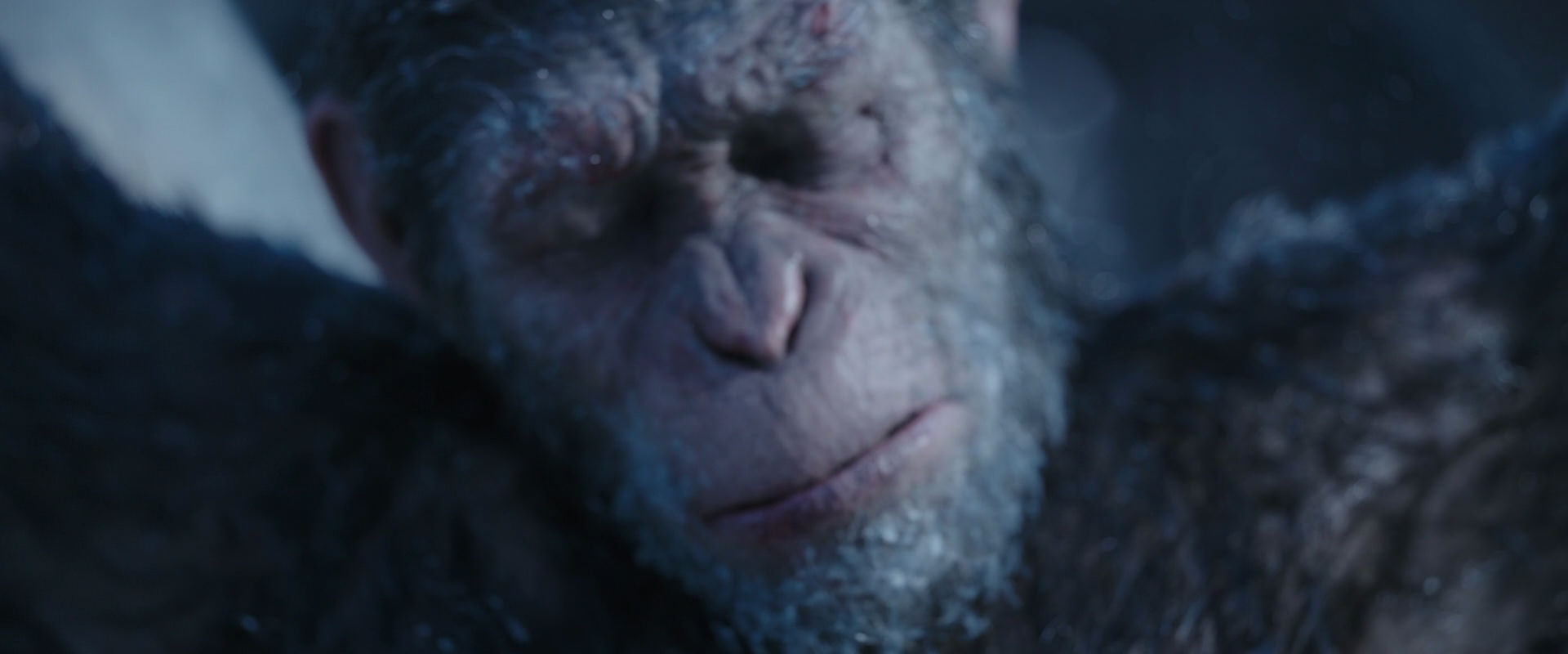 War for the Planet of the Apes (2017) HD screenshot 10493