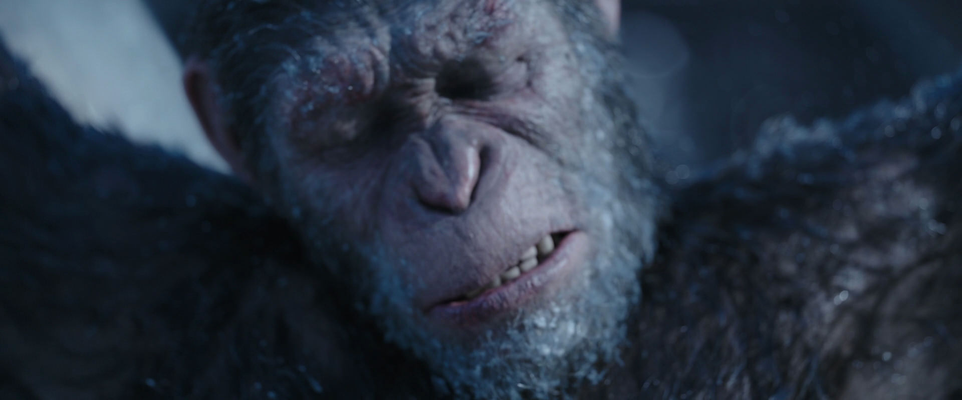 War for the Planet of the Apes (2017) screencap 10494