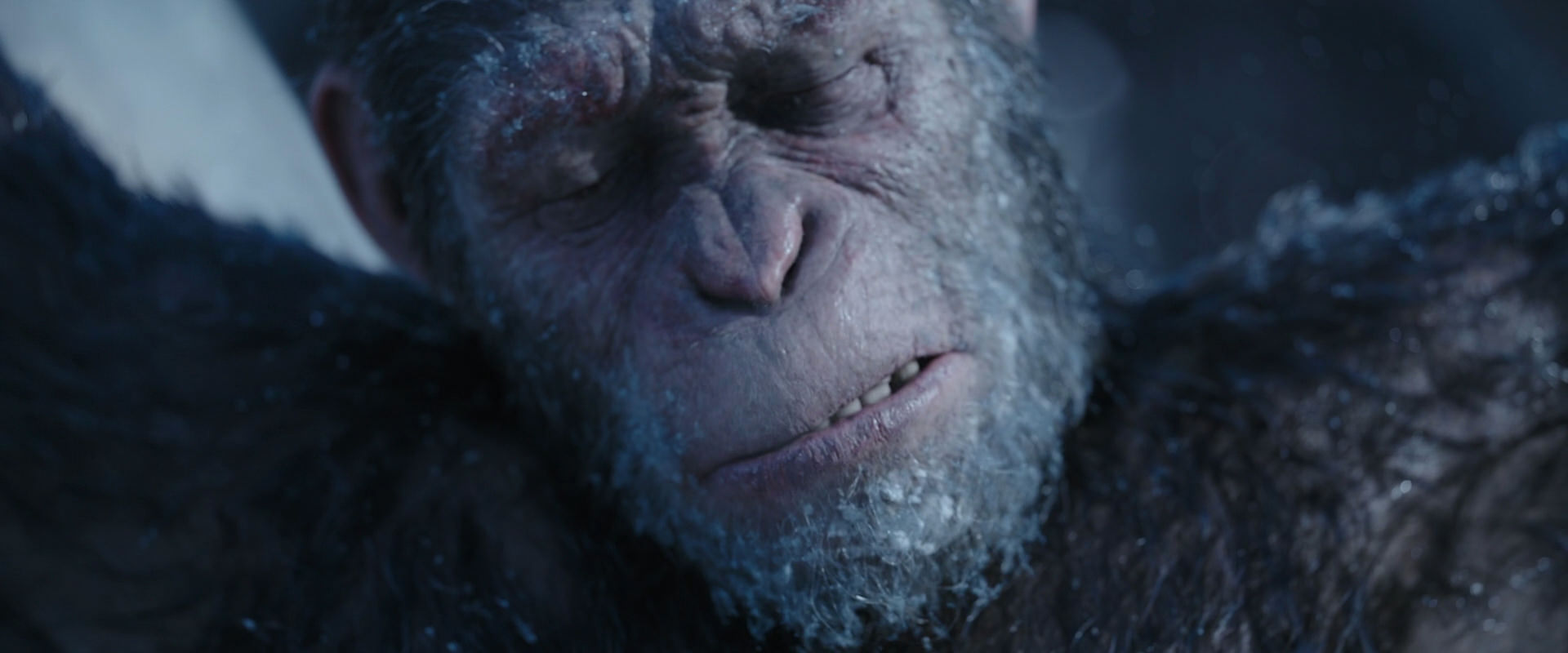 War for the Planet of the Apes (2017) movie still 10495