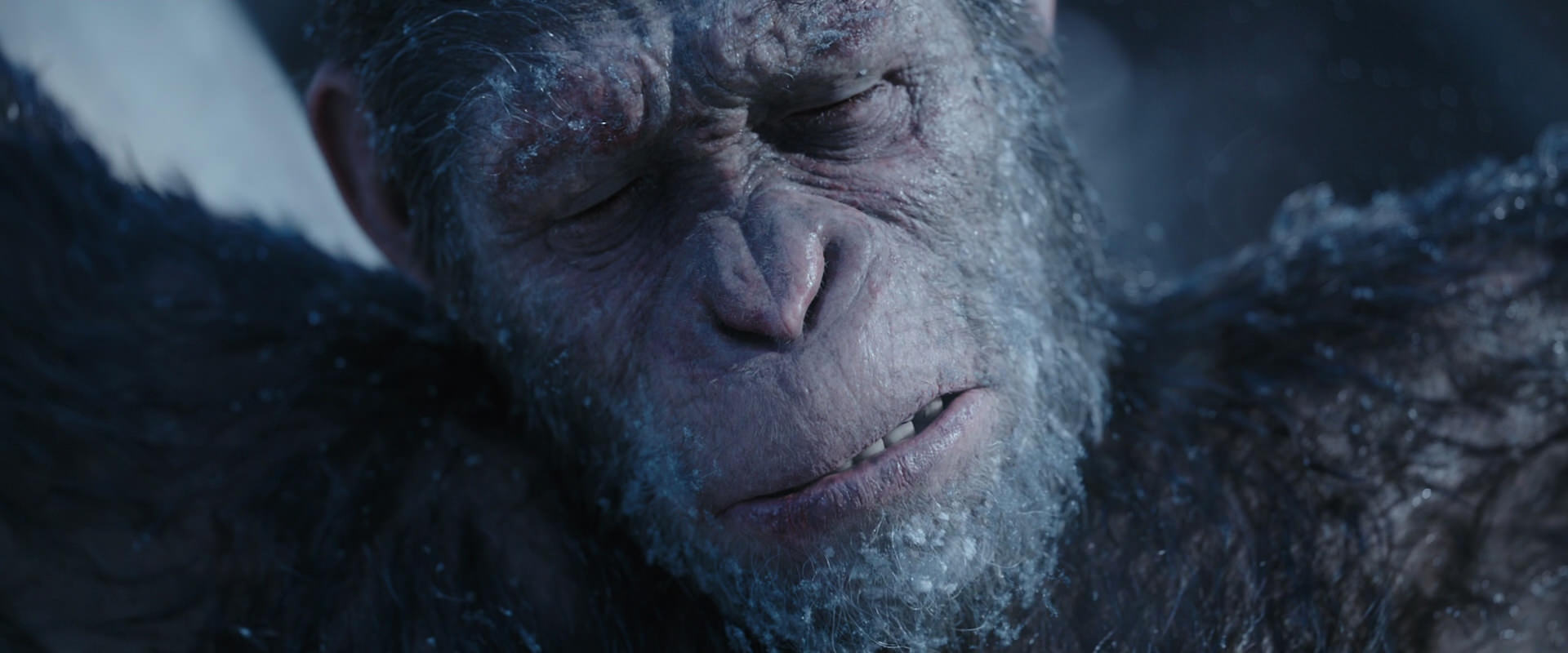 War for the Planet of the Apes (2017) HD screenshot 10496