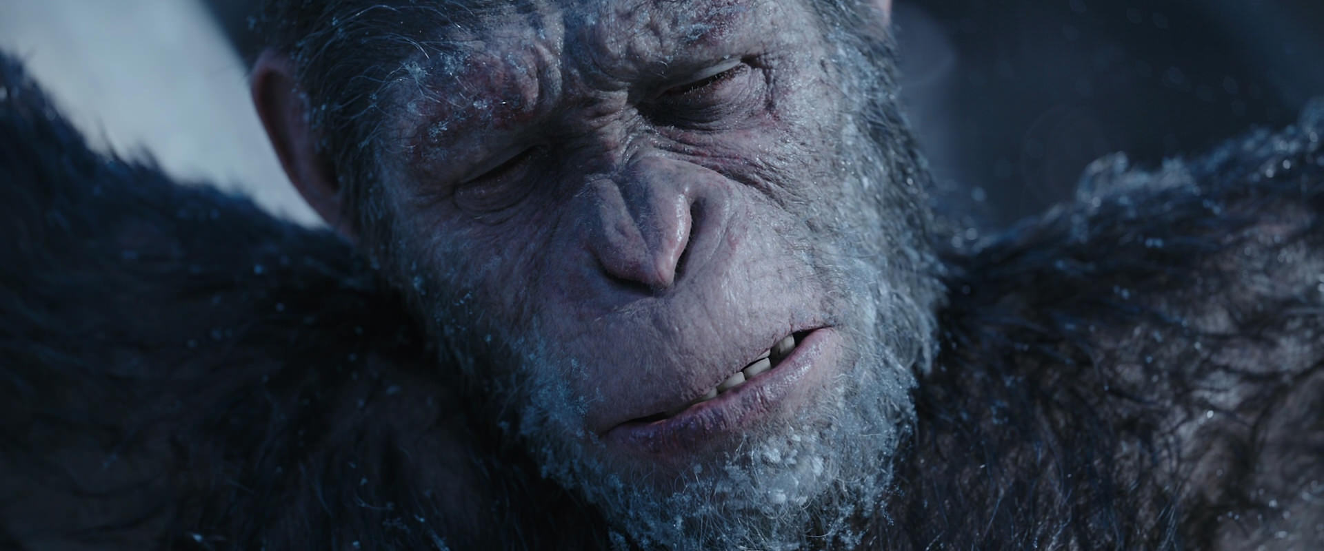 War for the Planet of the Apes (2017) screencap 10497