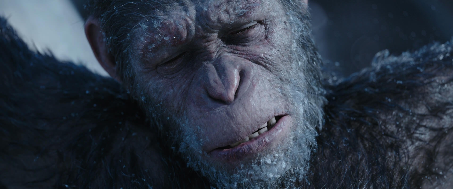 War for the Planet of the Apes (2017) movie still 10498