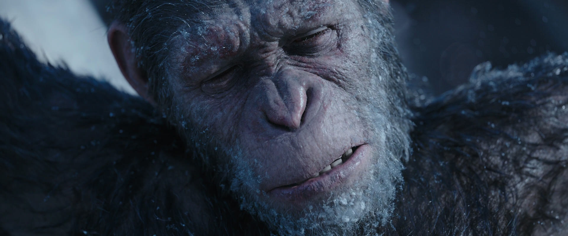 War for the Planet of the Apes (2017) HD screenshot 10499
