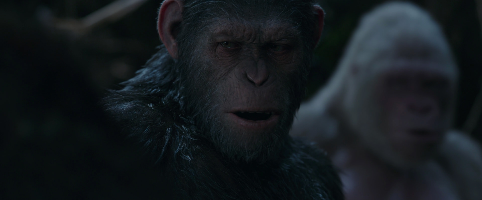 War for the Planet of the Apes (2017) screencap 1050
