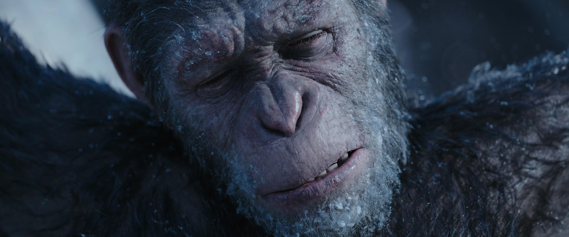 War for the Planet of the Apes (2017) screencap 10500