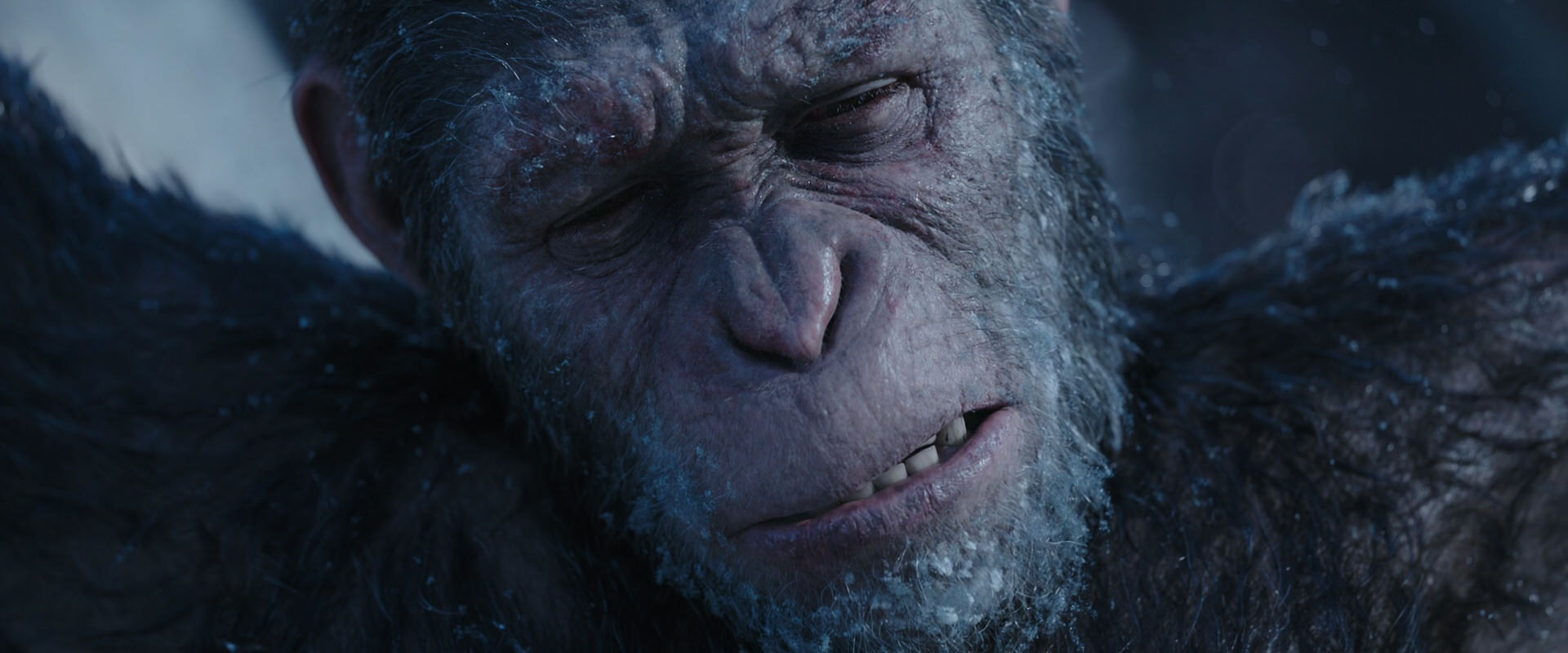War for the Planet of the Apes (2017) HD screenshot 10502
