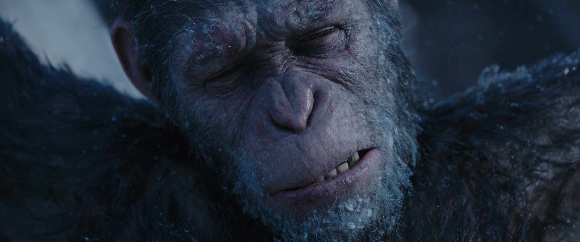 War for the Planet of the Apes (2017) screencap 10503