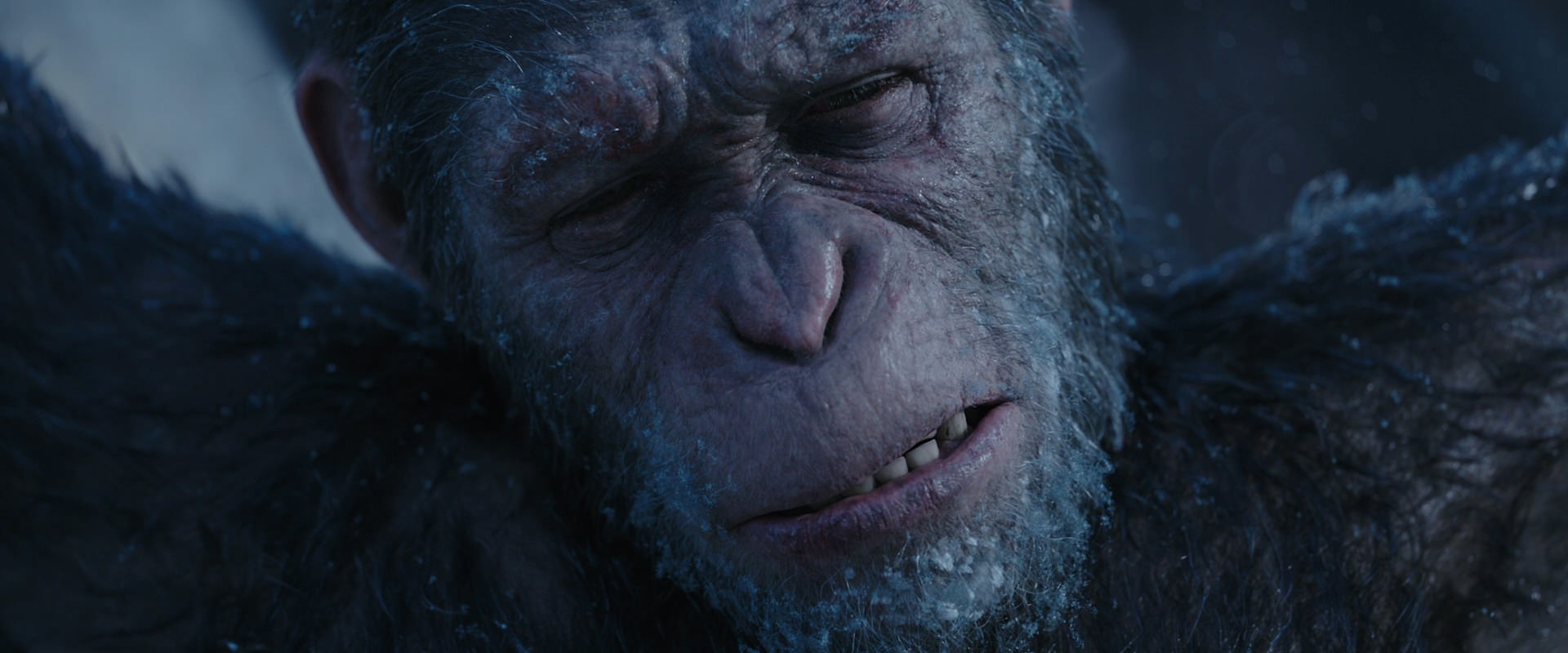 War for the Planet of the Apes (2017) movie still 10504