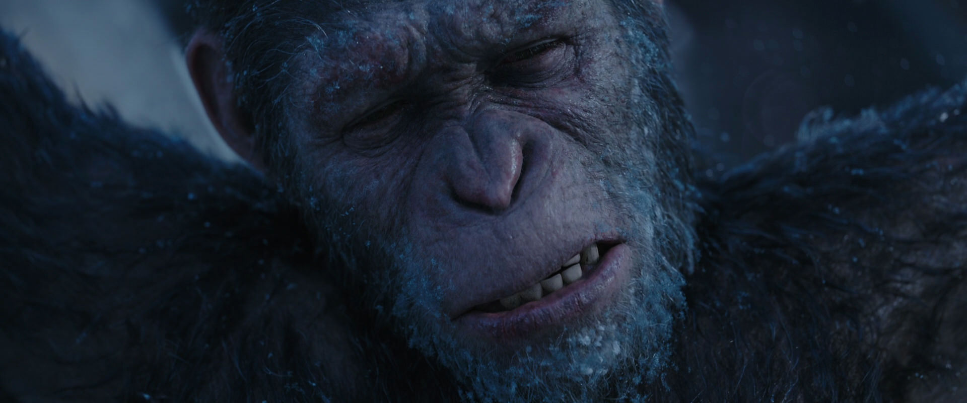 War for the Planet of the Apes (2017) HD screenshot 10505
