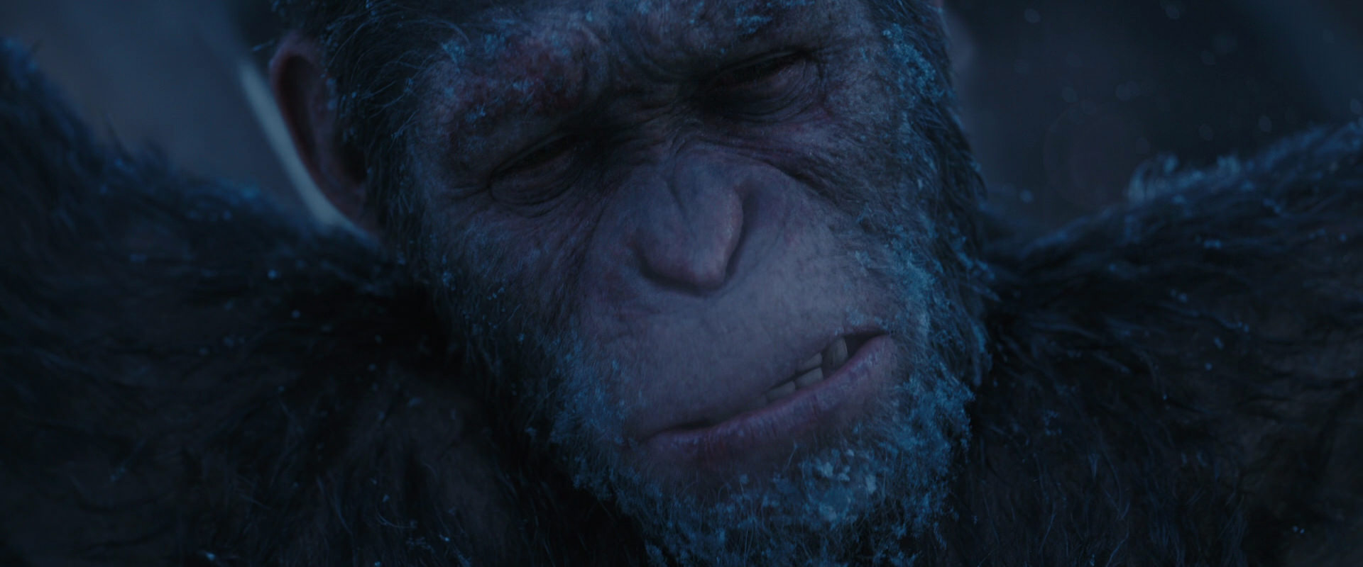 War for the Planet of the Apes (2017) screencap 10506