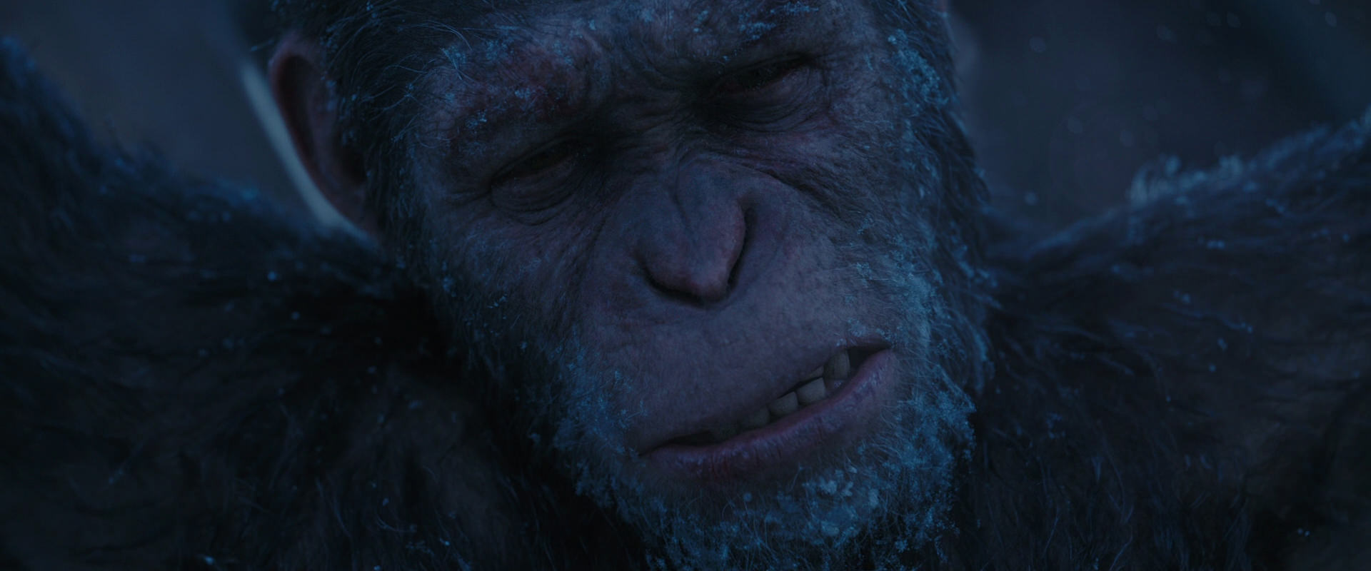 War for the Planet of the Apes (2017) movie still 10507
