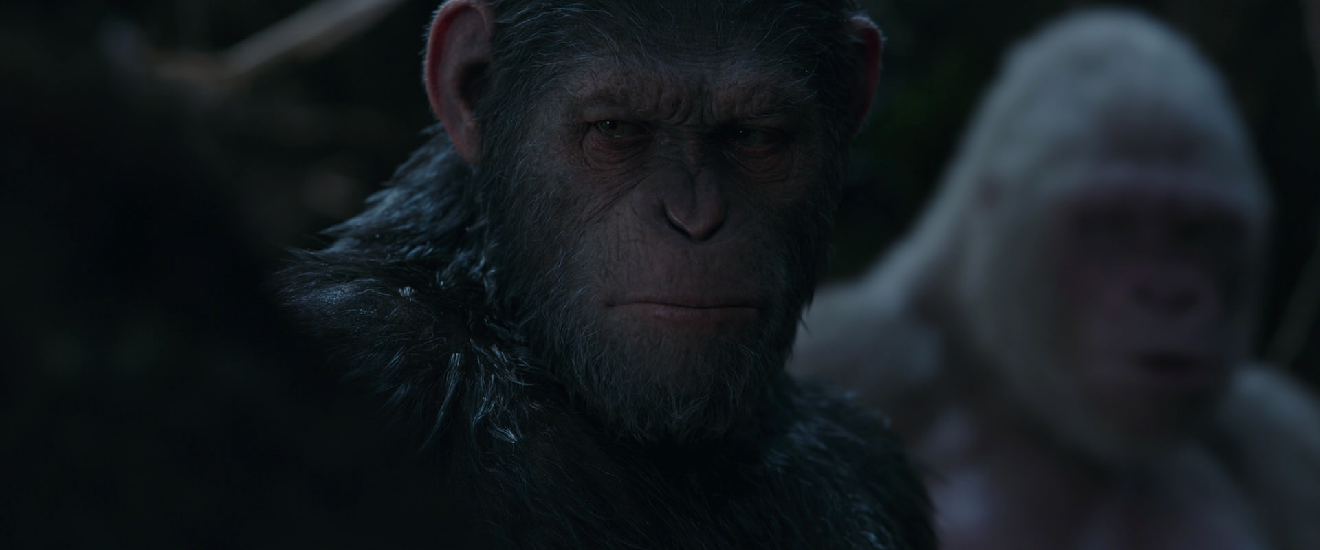 War for the Planet of the Apes (2017) movie still 1051