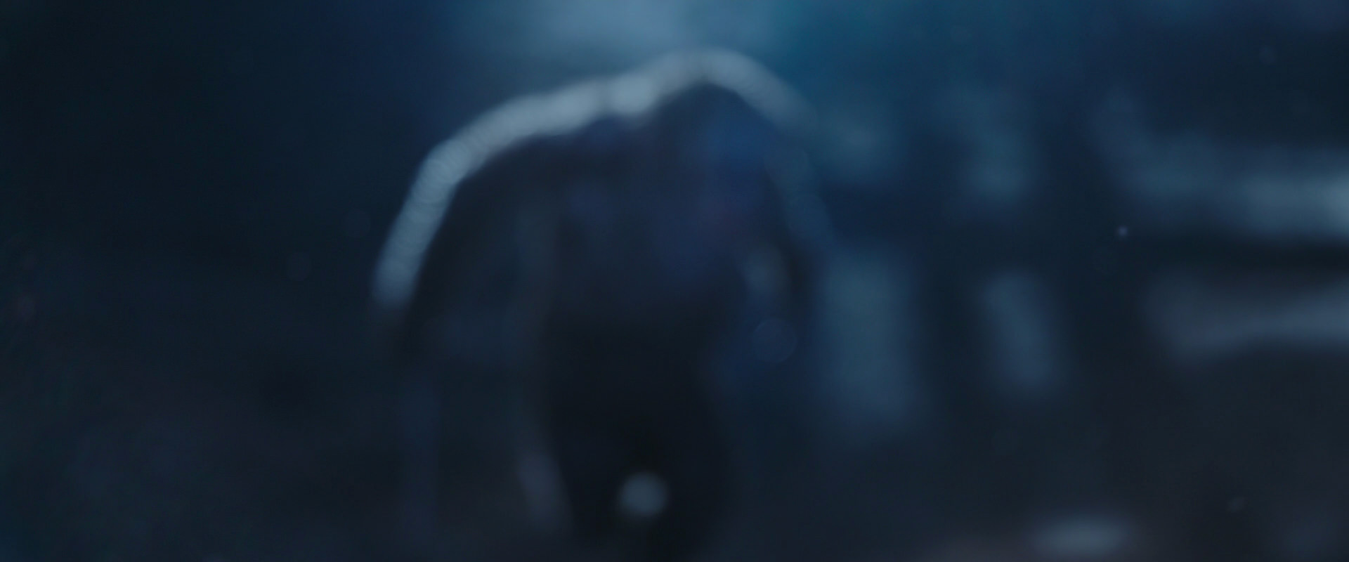 War for the Planet of the Apes (2017) movie still 10510