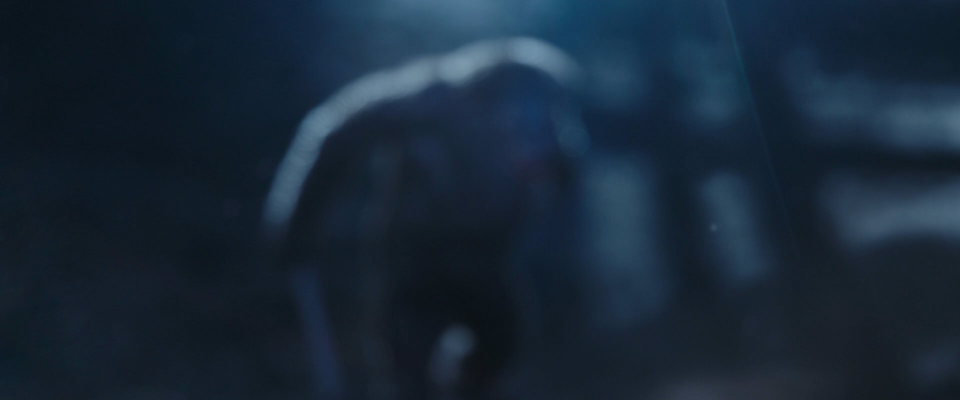 War for the Planet of the Apes (2017) HD screenshot 10511