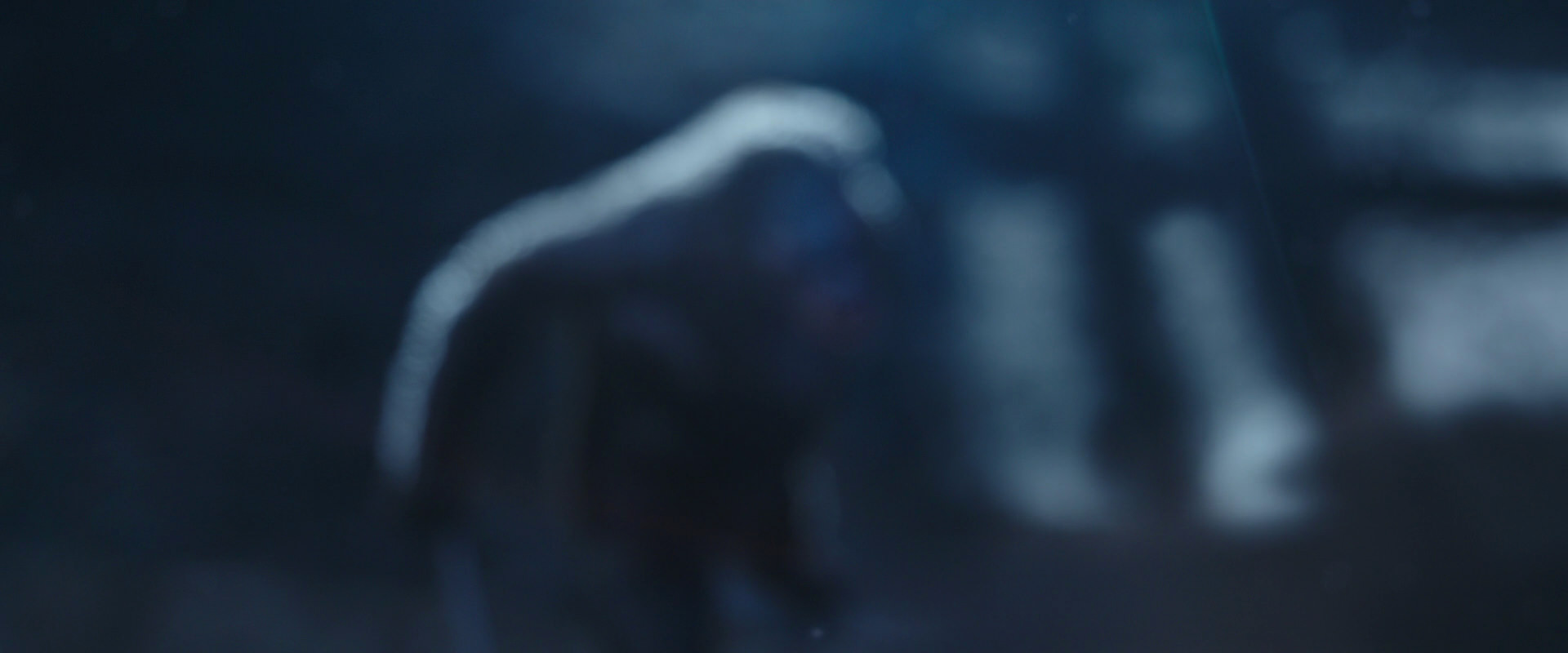 War for the Planet of the Apes (2017) movie still 10513