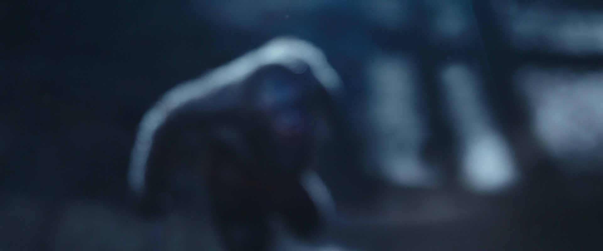 War for the Planet of the Apes (2017) HD screenshot 10514