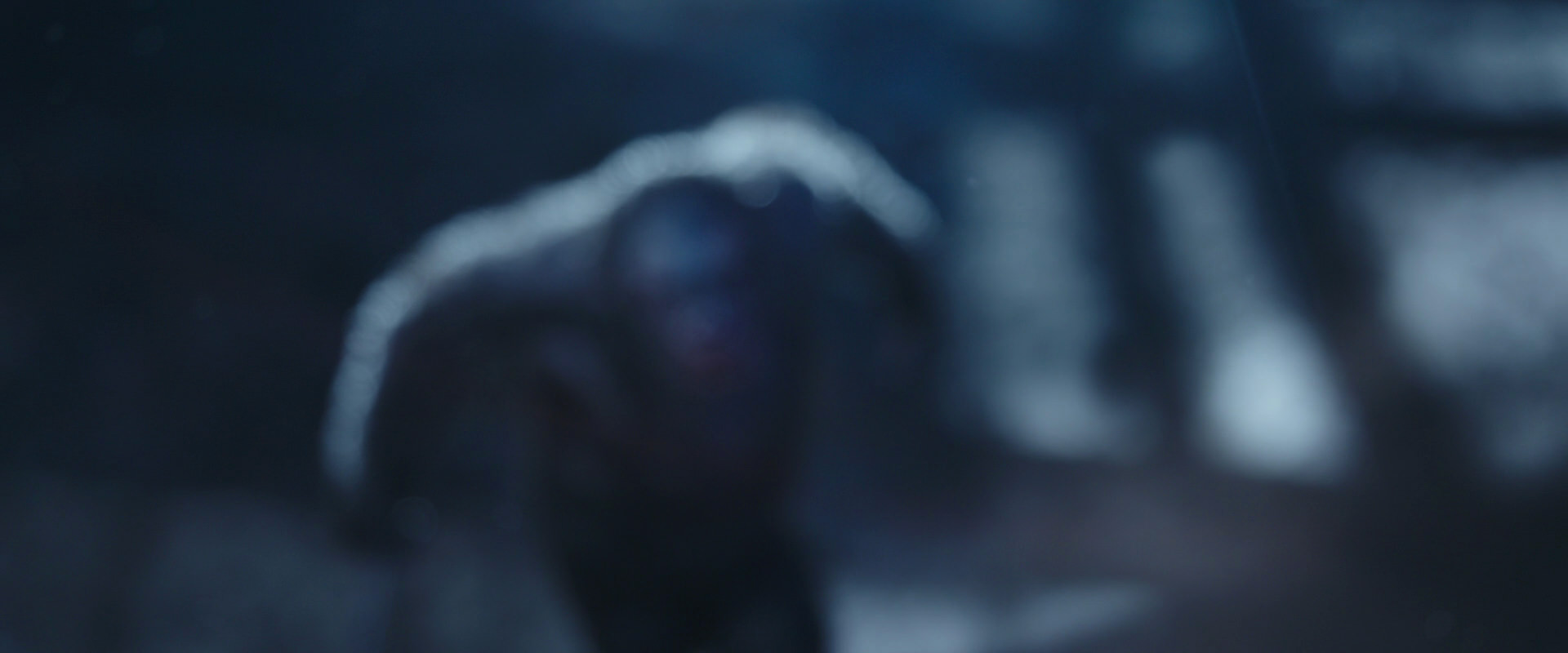 War for the Planet of the Apes (2017) screencap 10515