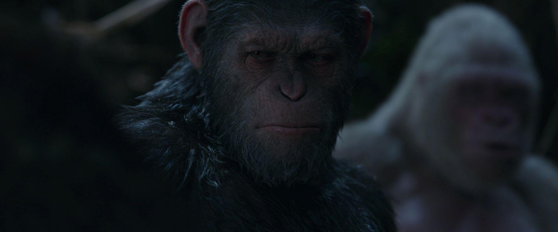 War for the Planet of the Apes (2017) HD screenshot 1052