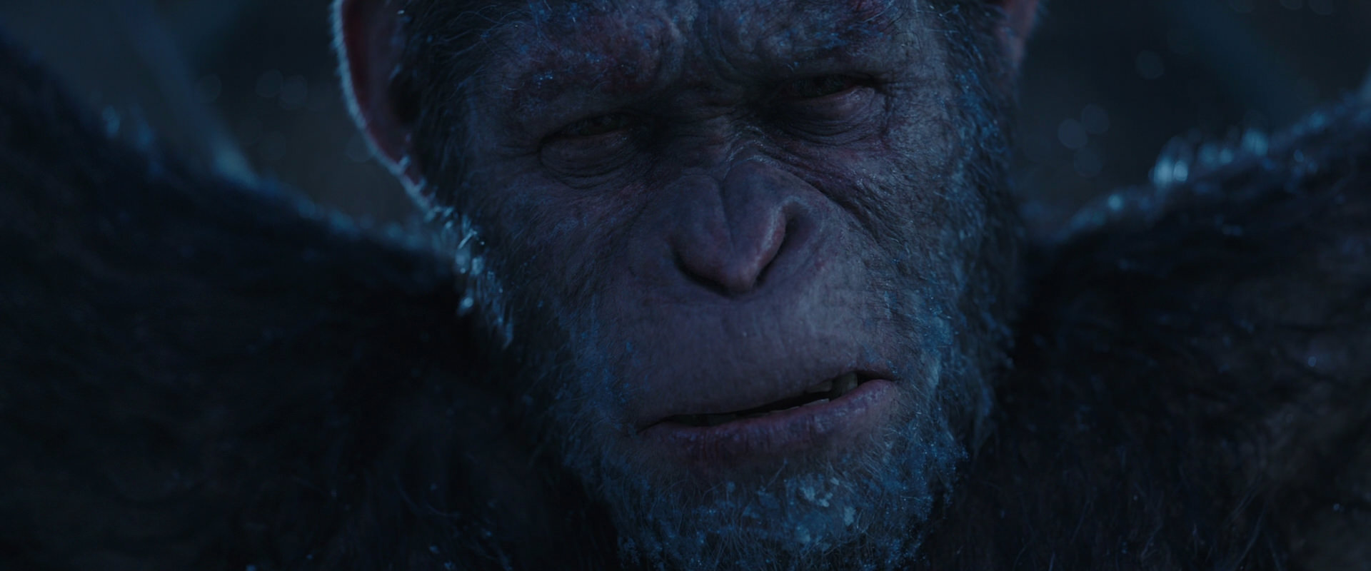 War for the Planet of the Apes (2017) movie still 10522
