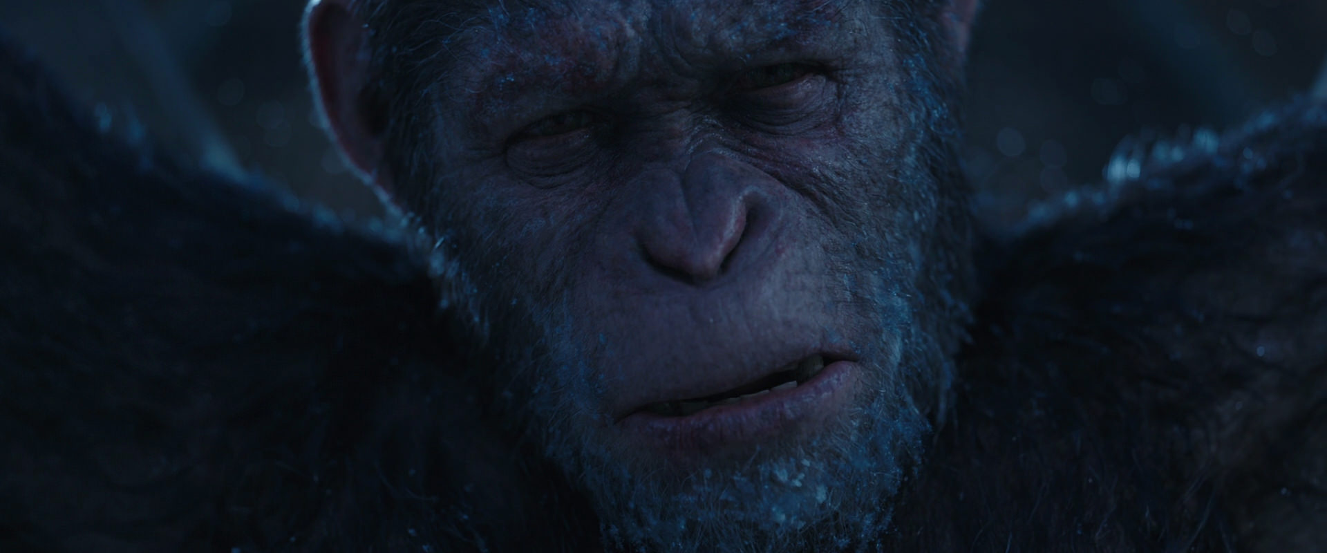 War for the Planet of the Apes (2017) HD screenshot 10523