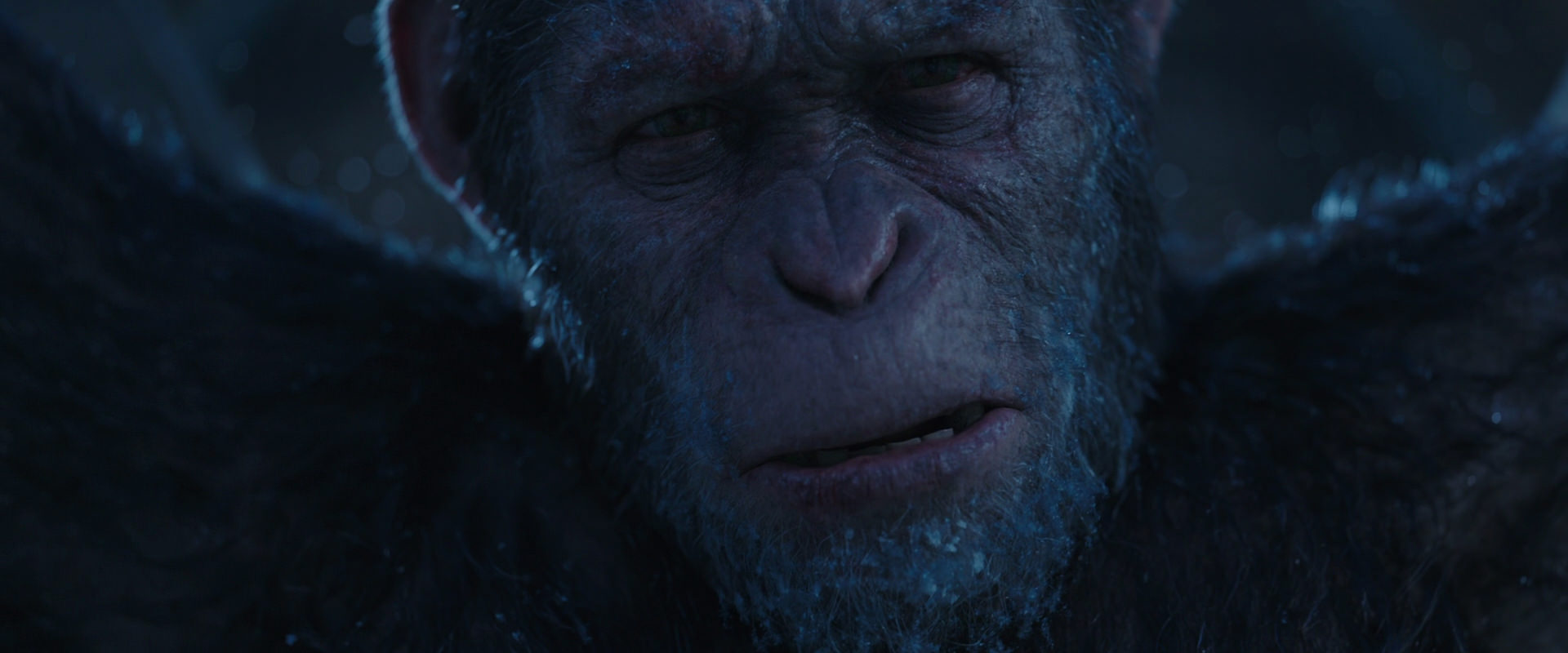 War for the Planet of the Apes (2017) screencap 10524