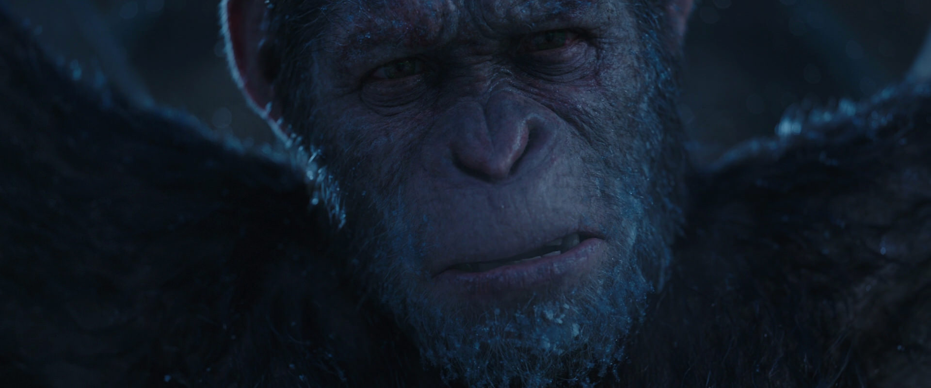 War for the Planet of the Apes (2017) movie still 10525