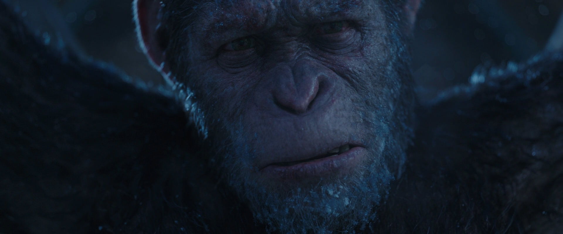 War for the Planet of the Apes (2017) HD screenshot 10526