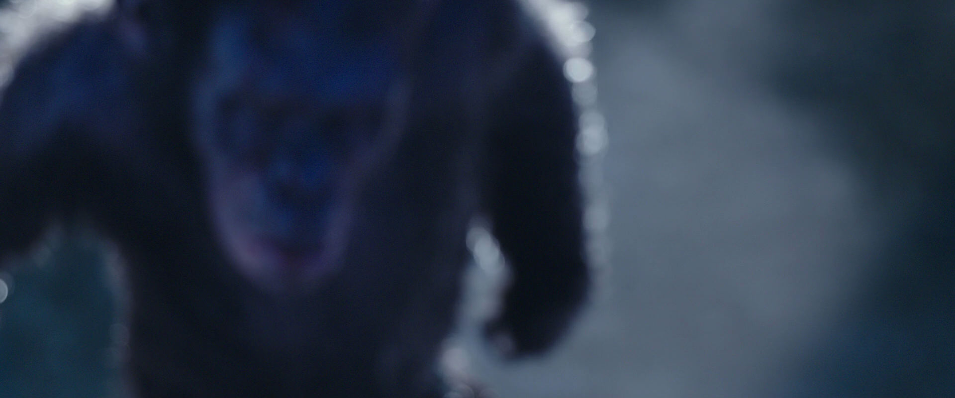 War for the Planet of the Apes (2017) HD screenshot 10529