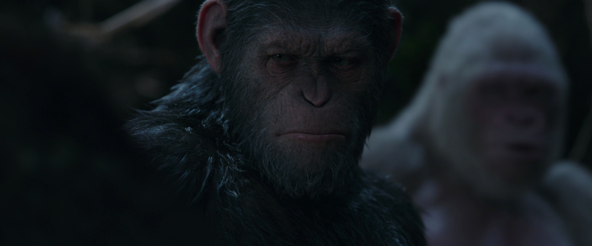 War for the Planet of the Apes (2017) screencap 1053