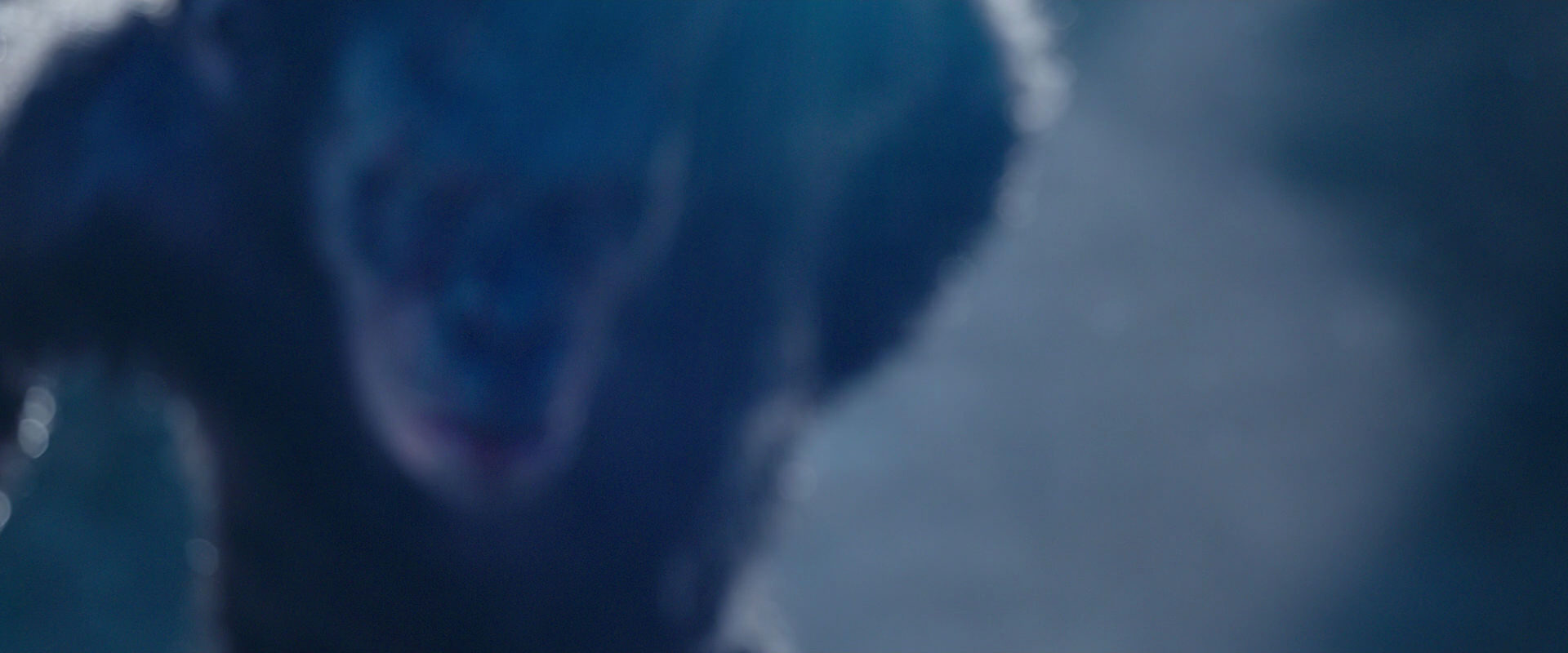 War for the Planet of the Apes (2017) screencap 10530