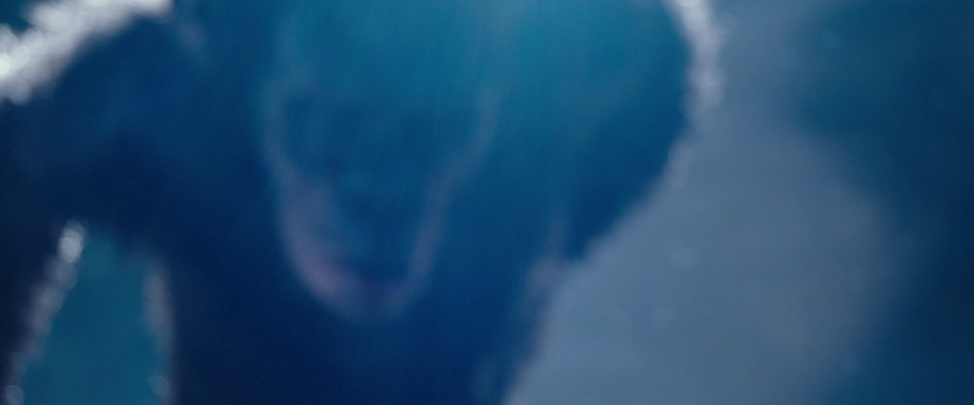 War for the Planet of the Apes (2017) movie still 10531