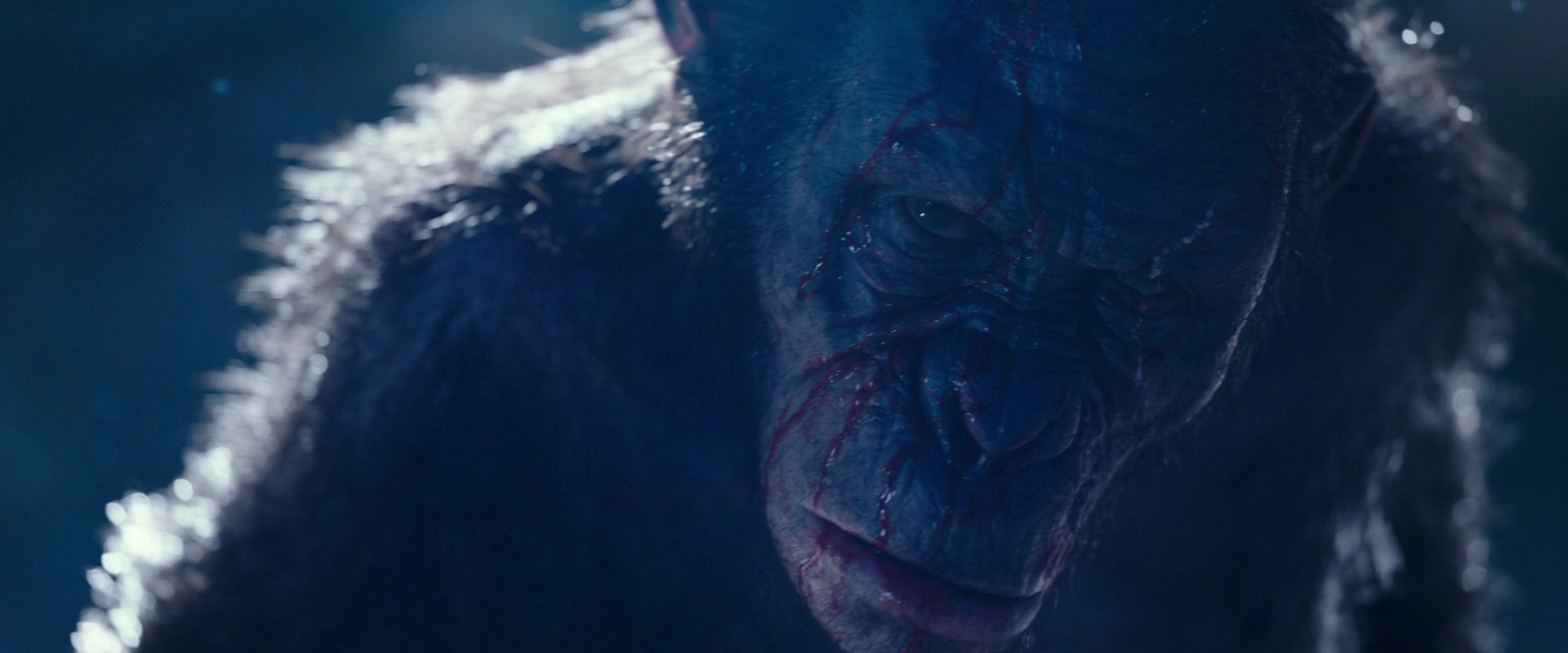 War for the Planet of the Apes (2017) movie still 10537