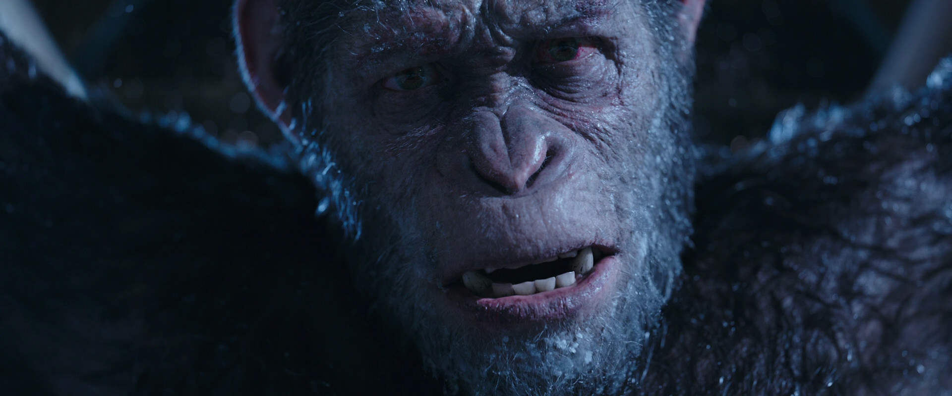 War for the Planet of the Apes (2017) screencap 10539