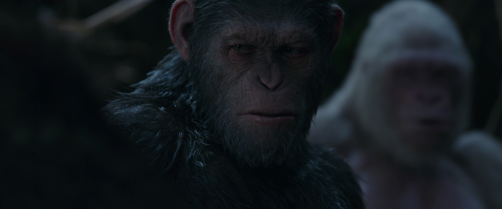 War for the Planet of the Apes (2017) movie still 1054