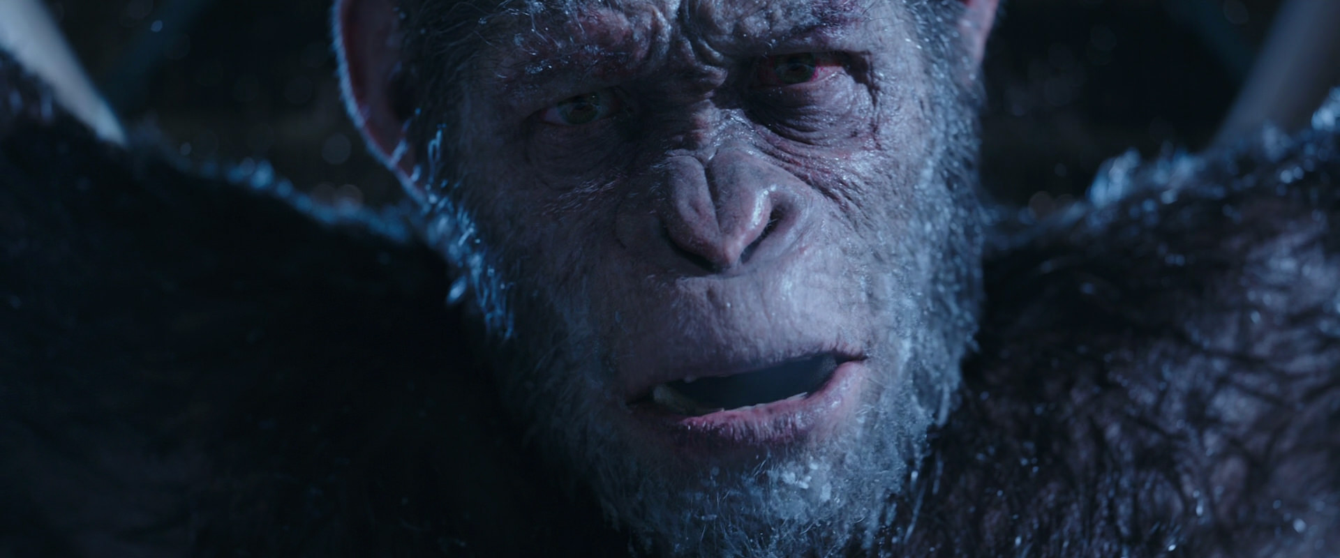 War for the Planet of the Apes (2017) movie still 10540