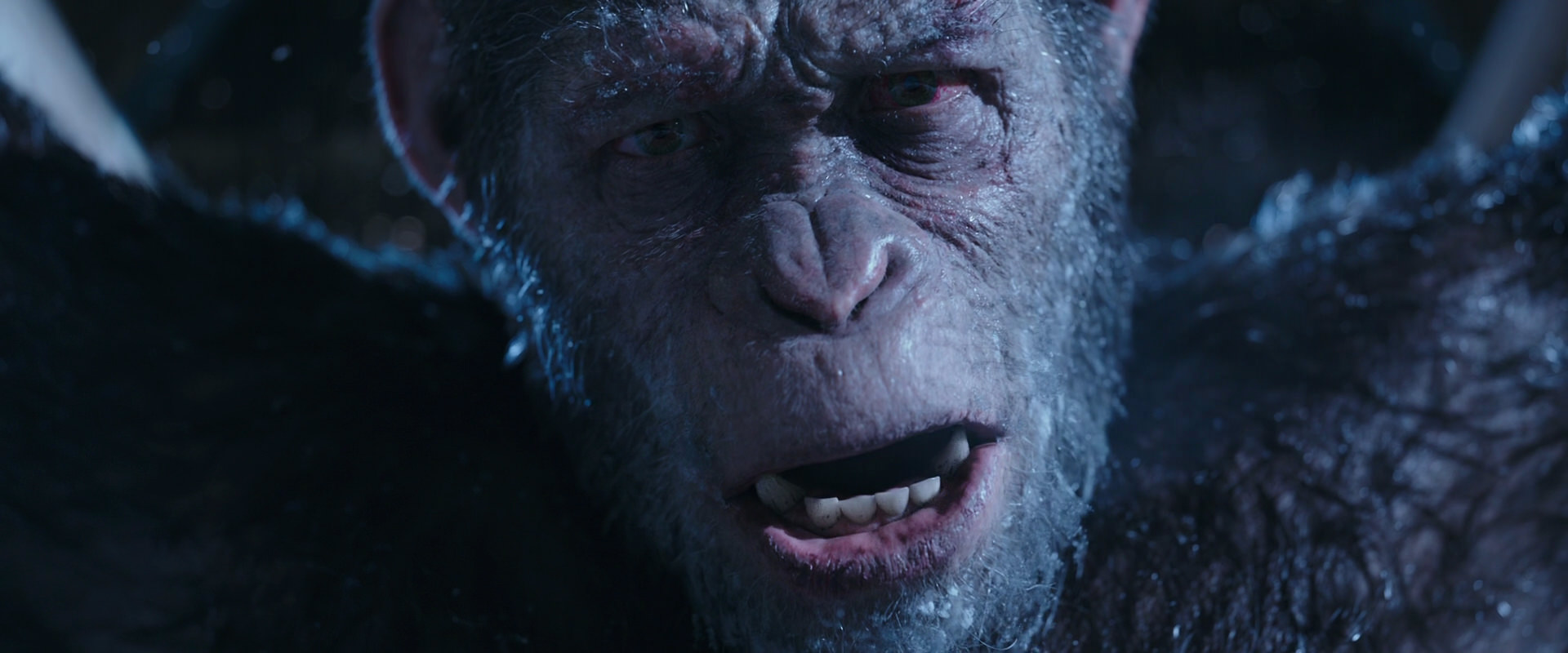 War for the Planet of the Apes (2017) HD screenshot 10541