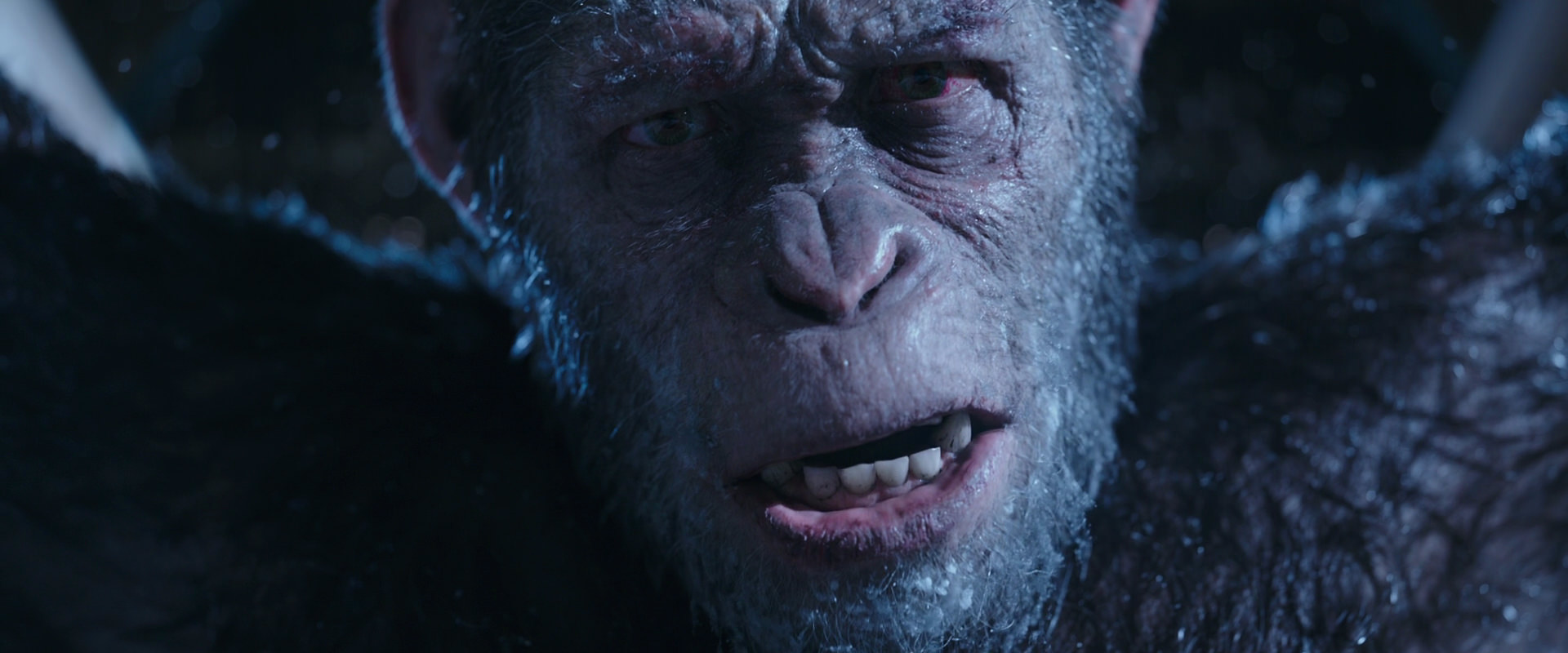 War for the Planet of the Apes (2017) screencap 10542