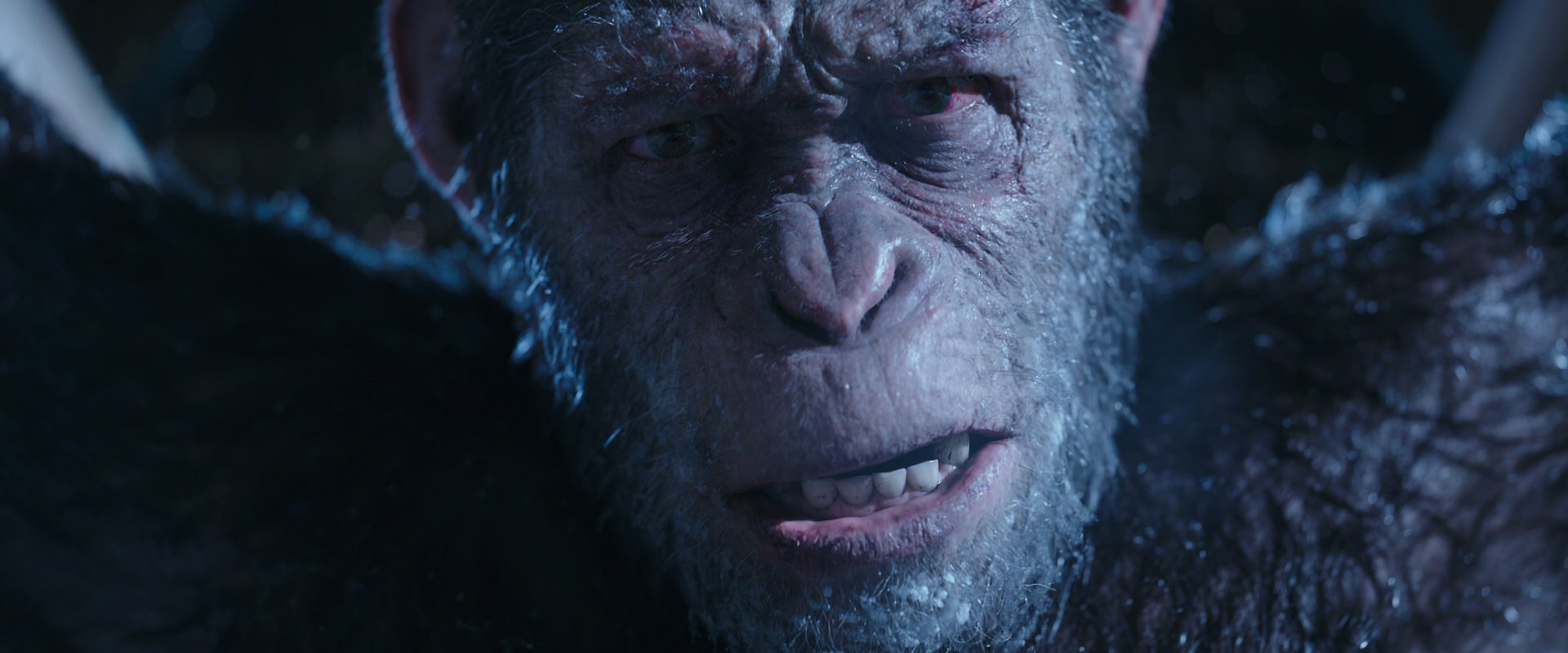 War for the Planet of the Apes (2017) movie still 10543