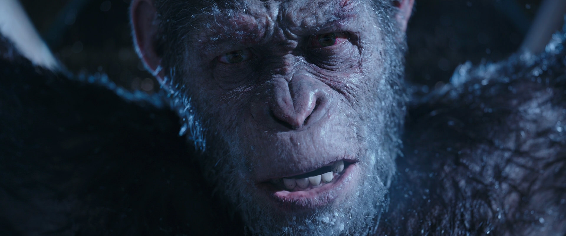 War for the Planet of the Apes (2017) HD screenshot 10544