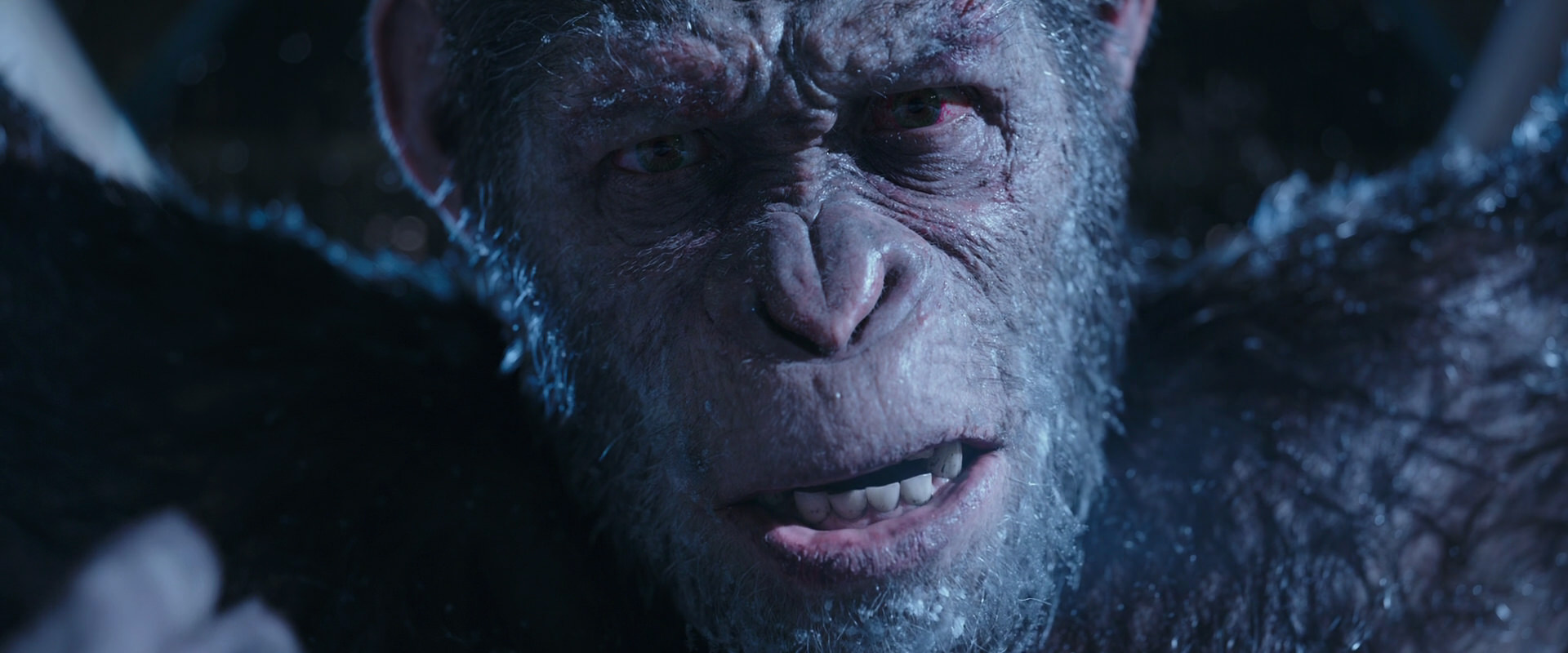 War for the Planet of the Apes (2017) screencap 10545