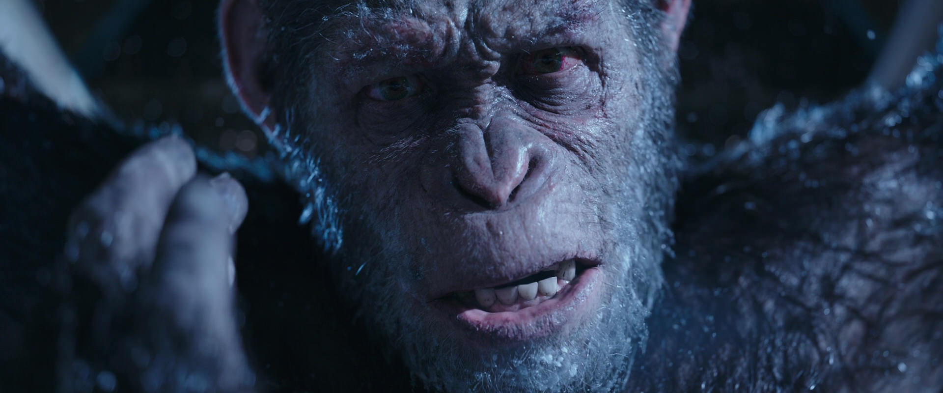 War for the Planet of the Apes (2017) movie still 10546