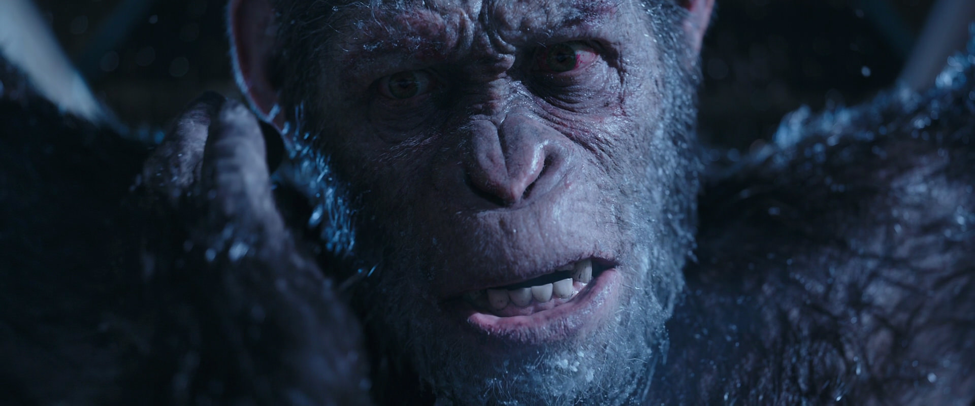 War for the Planet of the Apes (2017) HD screenshot 10547