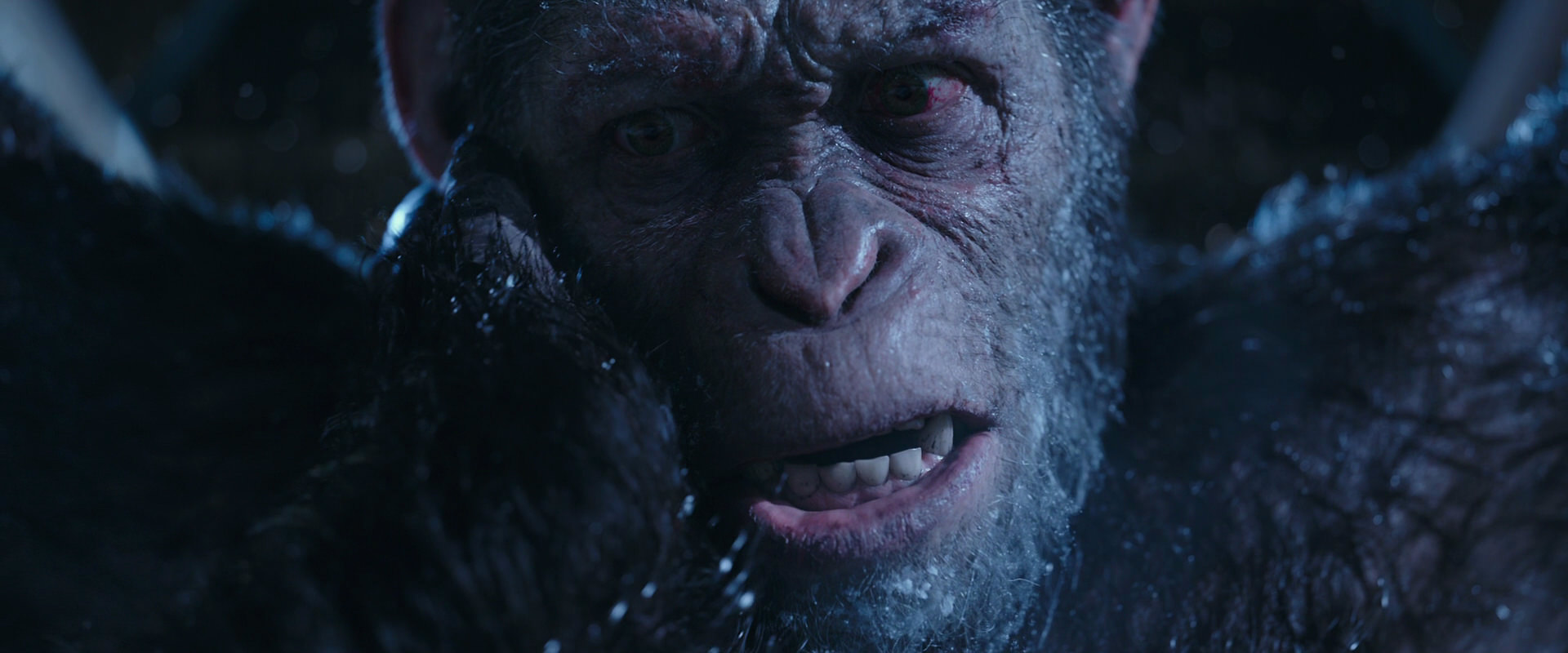 War for the Planet of the Apes (2017) screencap 10548