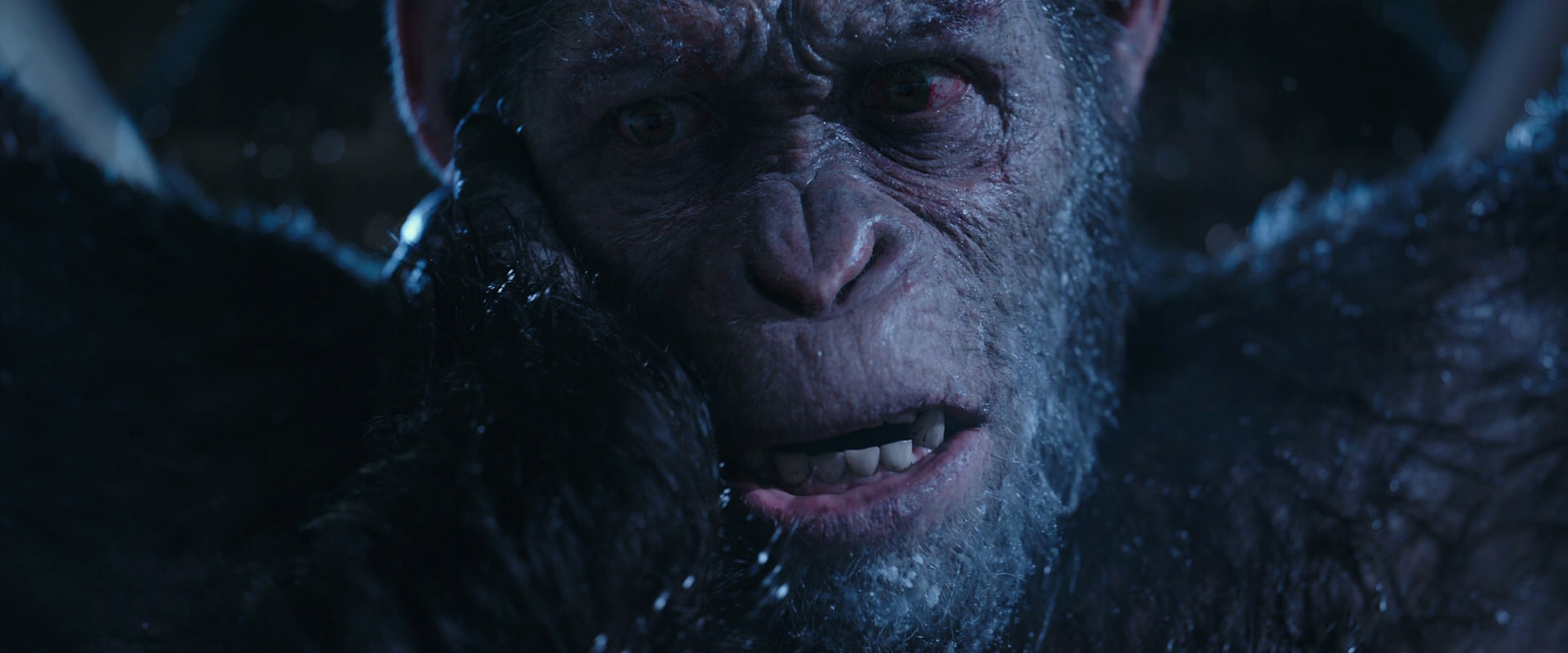 War for the Planet of the Apes (2017) movie still 10549