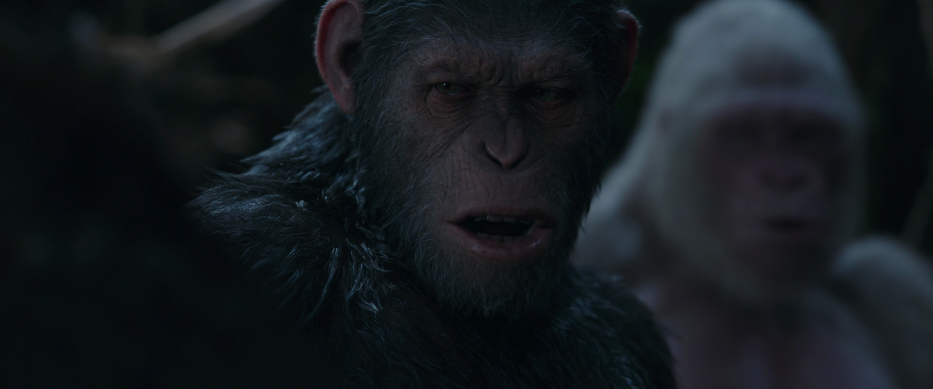 War for the Planet of the Apes (2017) HD screenshot 1055